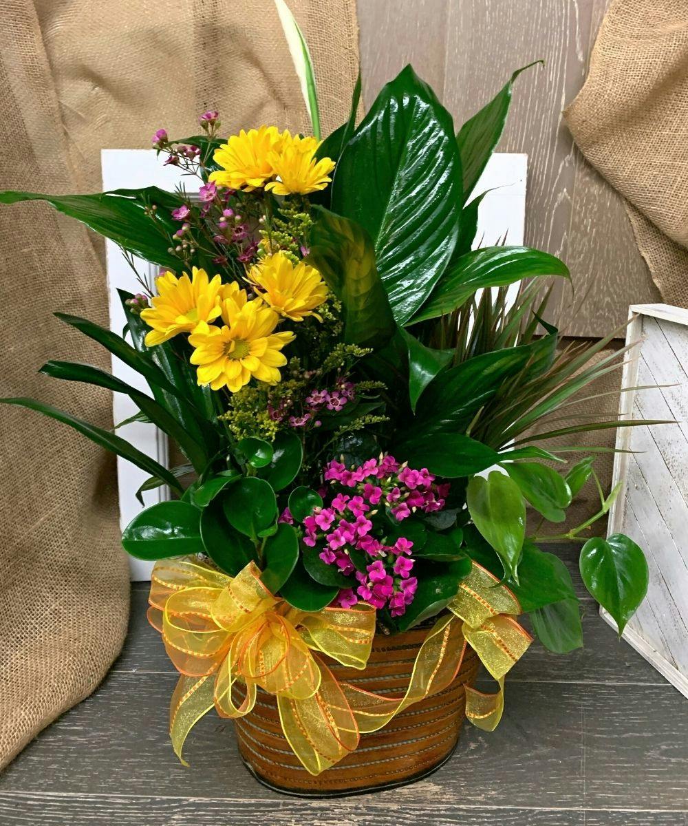 Secret Garden Mission Viejo (CA) Sameday Flower and Plant Delivery