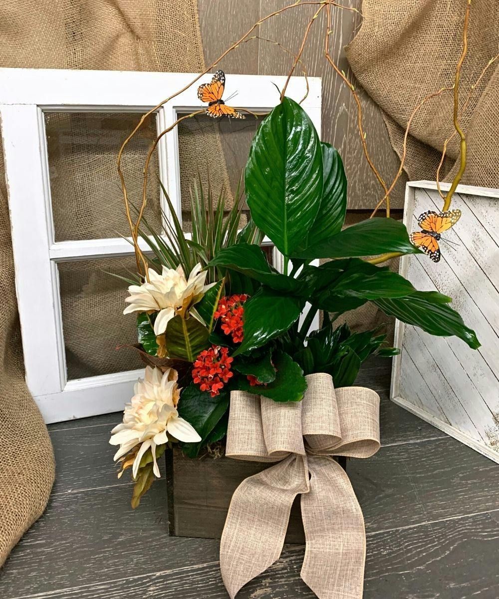 Plants Mission Viejo Florist Plant Delivery Orange County